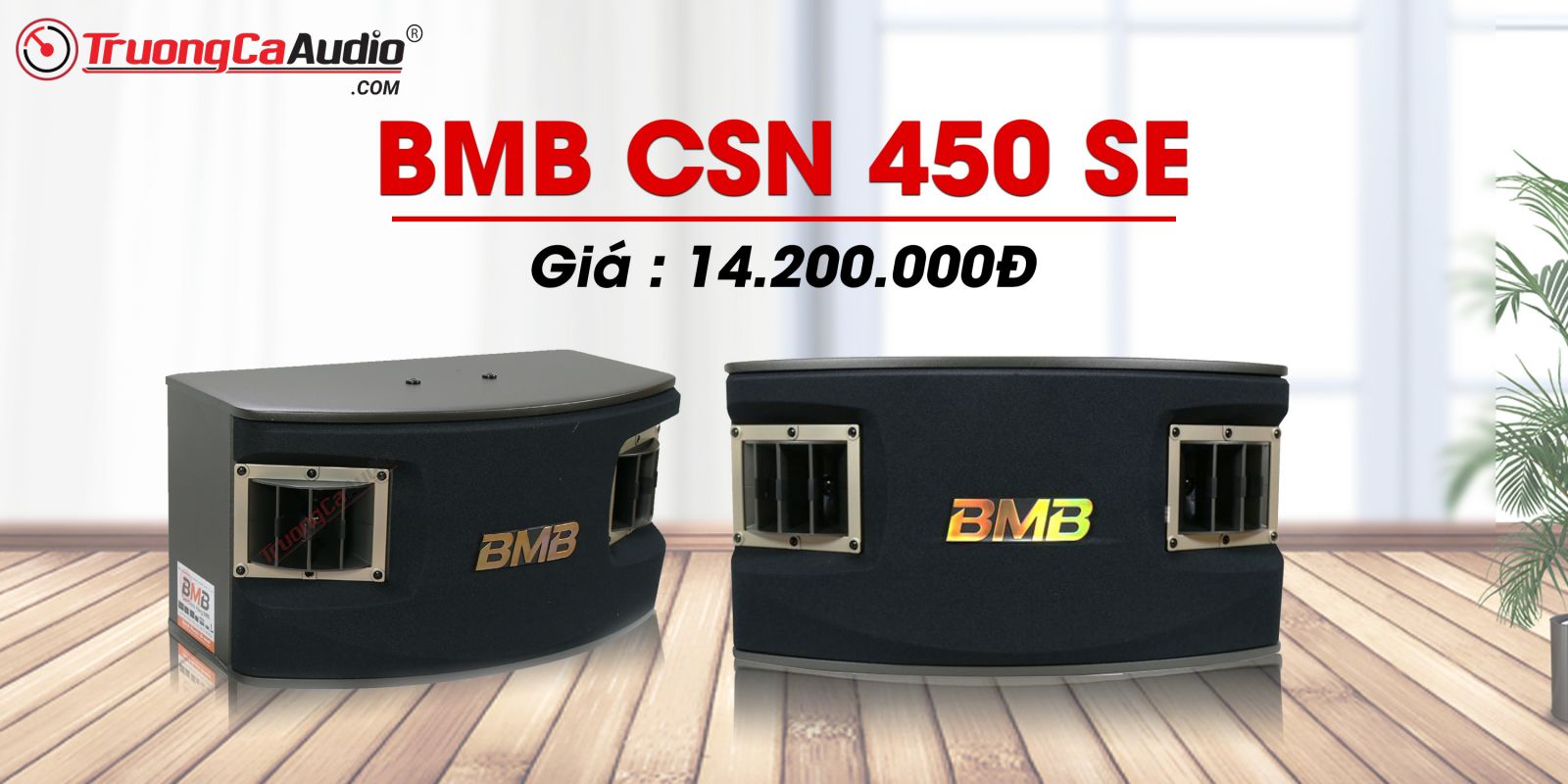 Loa BMB CSV 450 SE