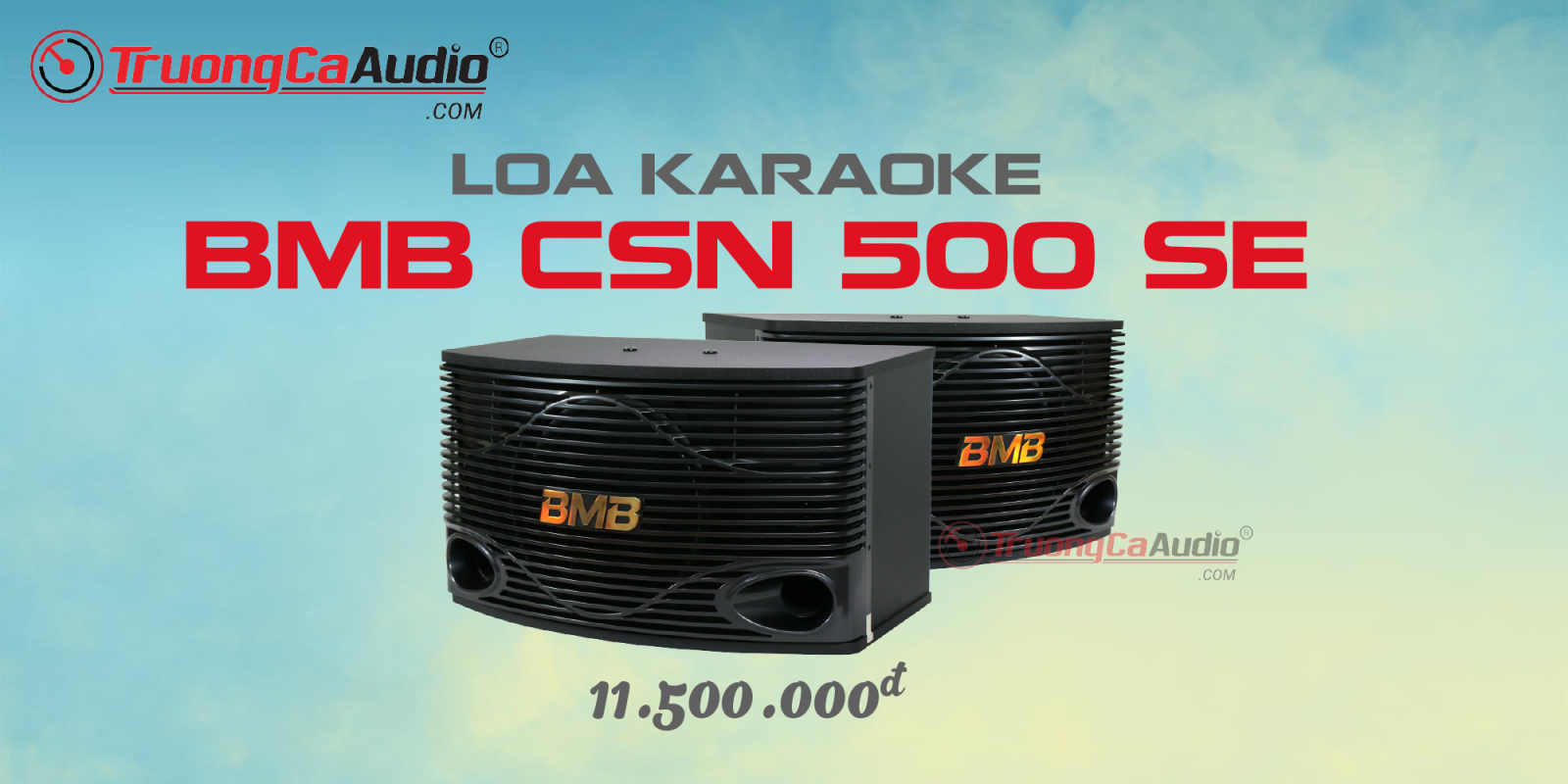 Loa BMB CSN 500SE