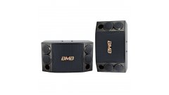 Loa nào dùng cho hát karaoke chuyên nghiệp?