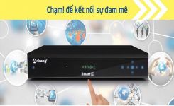 Sản phẩm nổi bật đầu arirang giá tốt trên thị trường