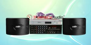 Tư vấn chọn mua dàn âm thanh karaoke chuyên nghiệp