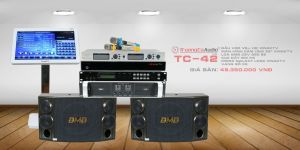 10 Dàn Âm Thanh Karaoke Gia Đình Tốt Nhất 2017!