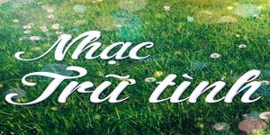 Top 100 bài nhạc trữ tình được yêu thích nhất