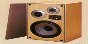 Có nên mua loa bãi hay không ?