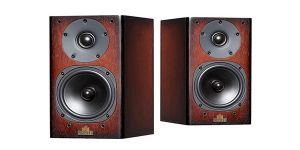 Loa bookshelf là gì?