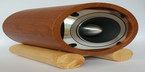 Bạn biết gì về loa Treble ?