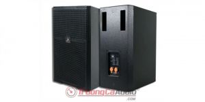 Loa karaoke tốt nhất hiện nay là loại nào?