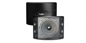 Tìm hiểu giá loa karaoke gia đình