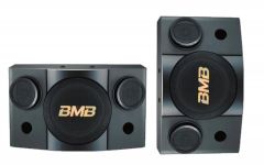 Loa karaoke được ưa chuộng nhất hiện nay là loại nào?