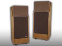 Mua loa bãi nghe nhạc vàng nên chọn loại nào?