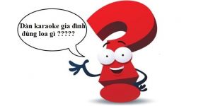Nên chọn loa karaoke nào cho dàn âm thanh gia đình?