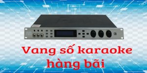 Những điều cần biết khi sử dụng vang số bãi