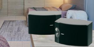 Đánh giá loa Bose 301 seri 5