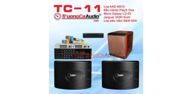 Dàn karaoke gia đình TC – 11