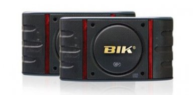 LOA KARAOKE BIK BS 998
