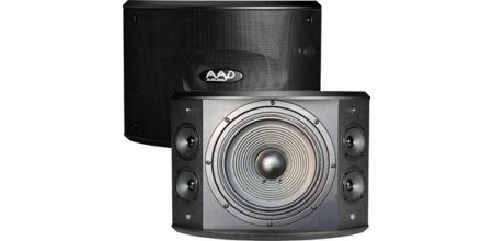 Loa karaoke AAD PRO 10