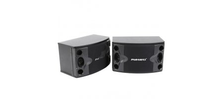 LOA KARAOKE PARAMAX P-300