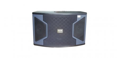 Loa Karaoke BW Pro 2628