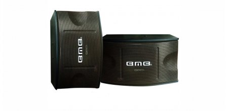 Loa BMB CS 450V MKII Trung Quốc