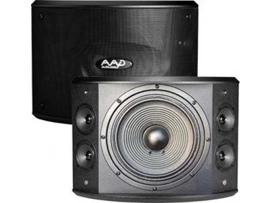 Loa karaoke AAD PRO 10