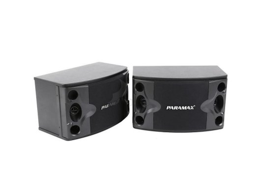 LOA KARAOKE PARAMAX P-300