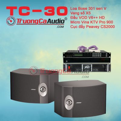 Dàn karaoke gia đình TC – 30