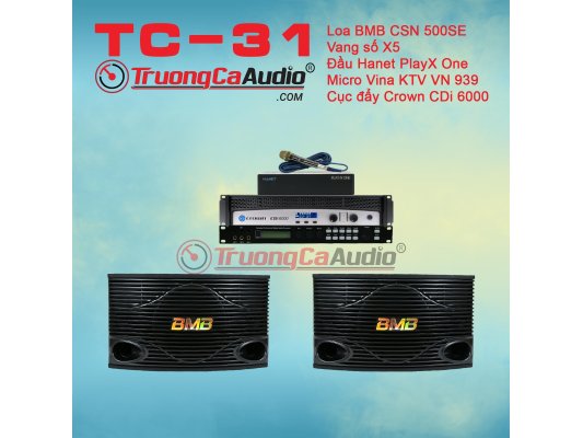 Dàn karaoke gia đình TC – 31