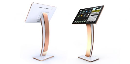 Màn hình VietKTV HD 22inch