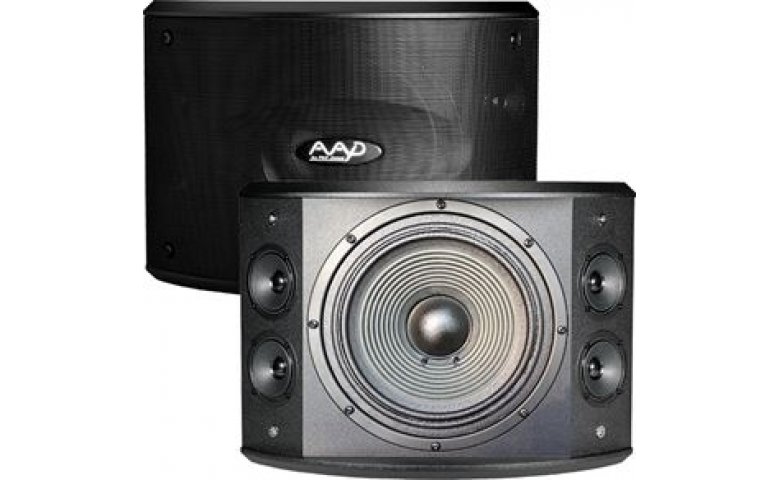 Loa karaoke AAD PRO 10