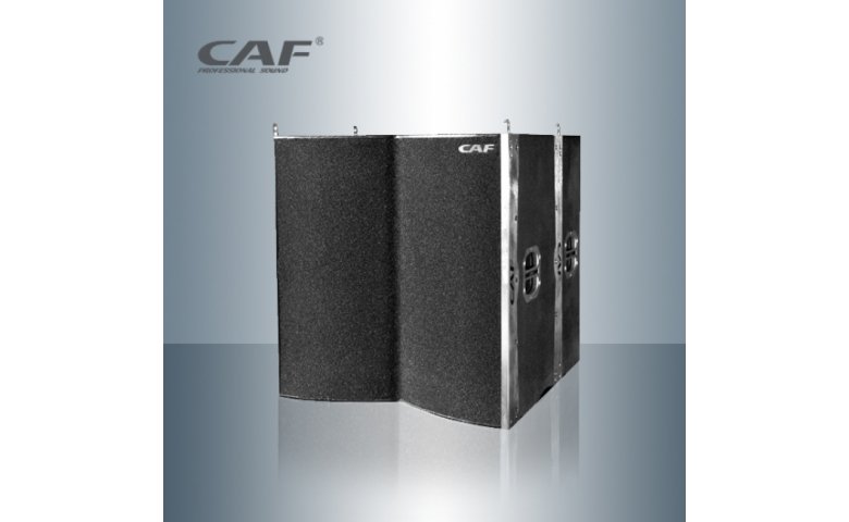 Loa CAF Array CF - 215