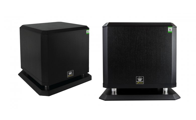 Loa sub BossELec B12W