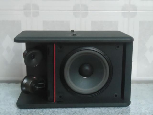 Loa Bose 301 AV Monitor