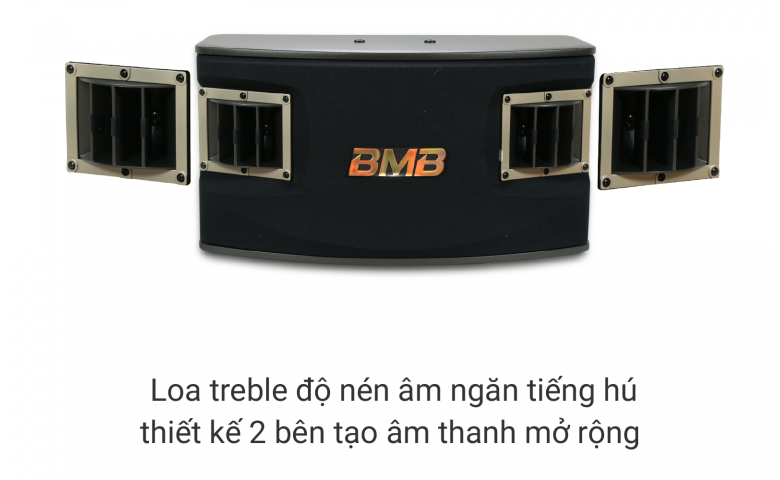 Loa BMB CSV 450SE
