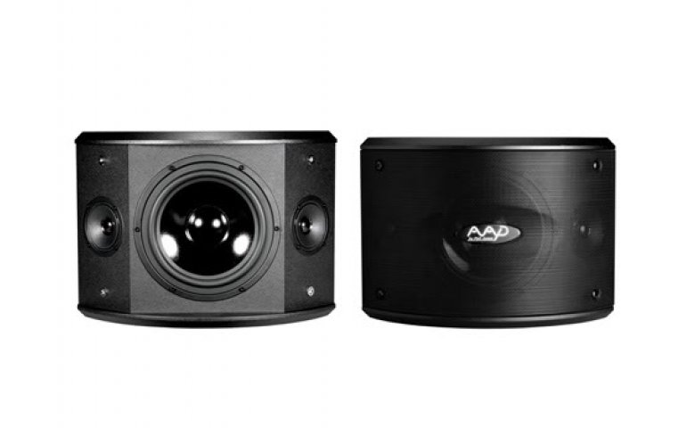 Loa karaoke AAD PRO 10