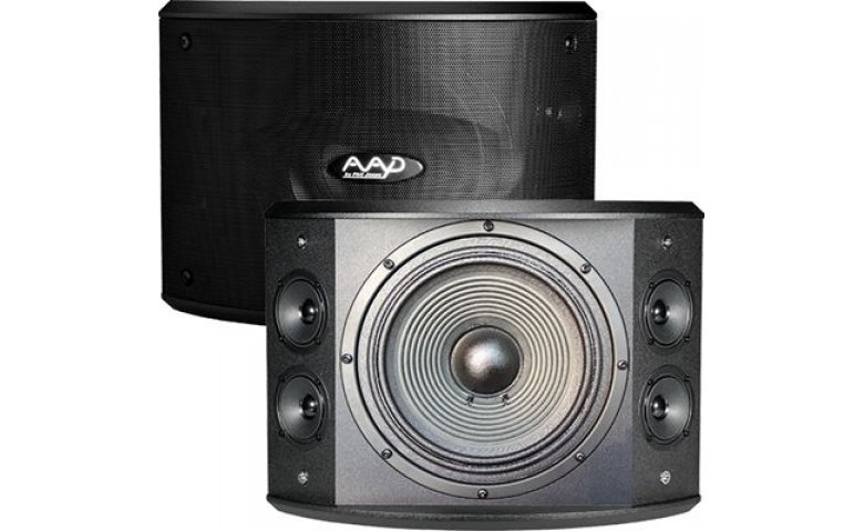 Loa karaoke AAD PRO 10