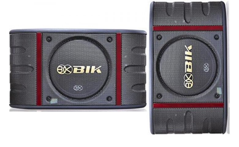 LOA KARAOKE BIK BS 998