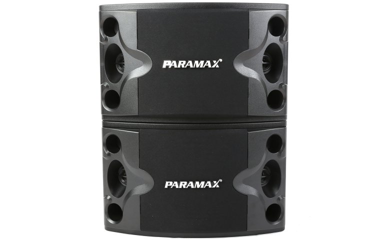LOA KARAOKE PARAMAX P-300