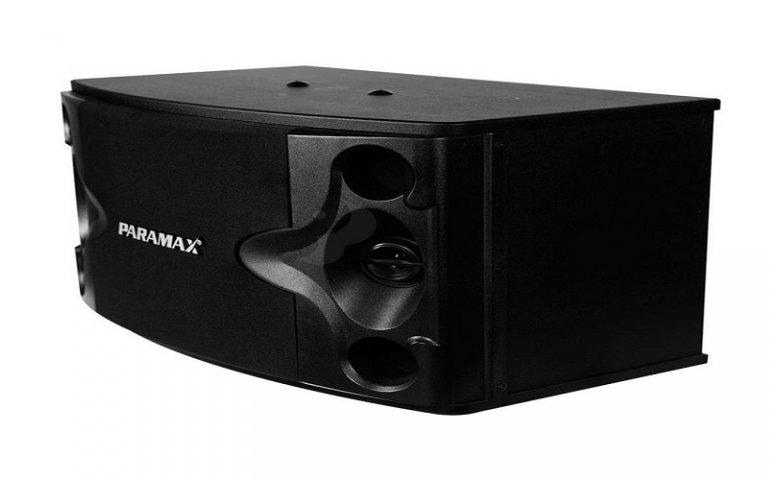 LOA KARAOKE PARAMAX P-500