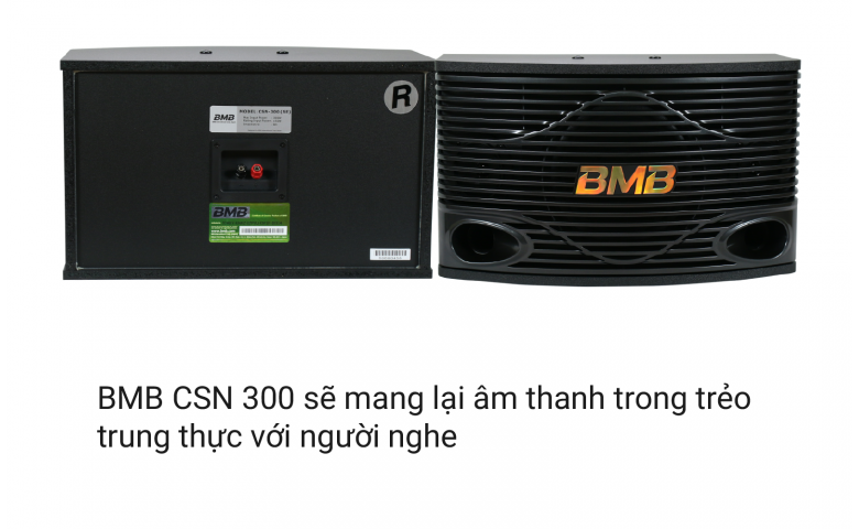LOA BMB CSN 300SE