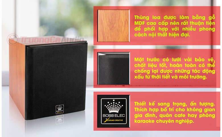 Loa sub BossELec ASW 912