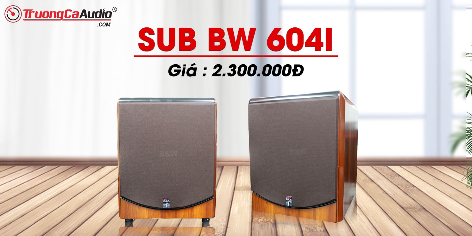 Loa Sub B&W 604I