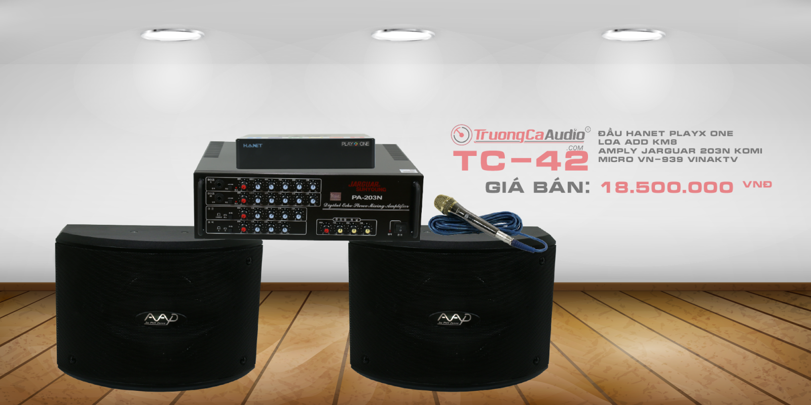 dàn karaoke gia đình TC - 42