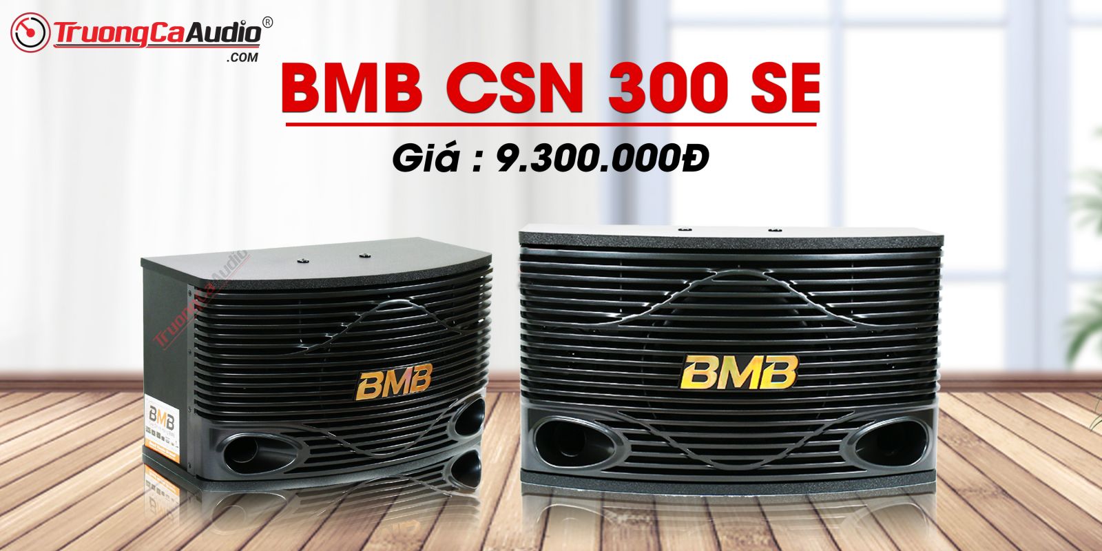 Loa BMB CSN 300SE