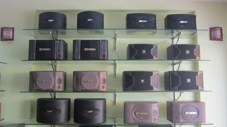 Các Loại Loa Phổ Biến Dành Cho Karaoke