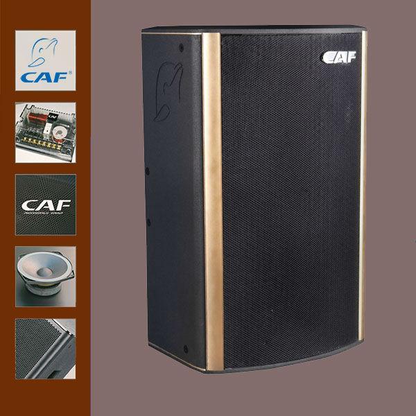 Loa CAF W10+ công suất cực đỉnh