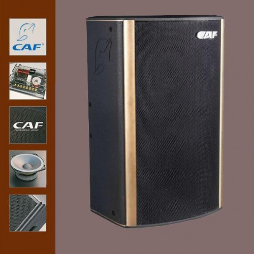 Loa Hội Trường CAF W12+ chất lượng cực đỉnh
