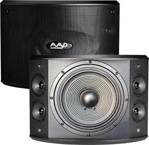 Loa karaoke AAD PRO 10