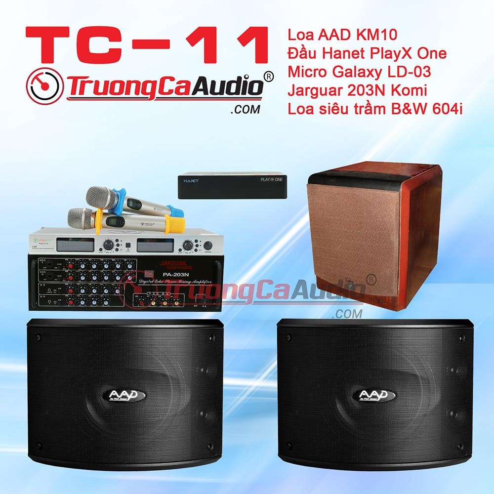 Dàn karaoke gia đình TC – 11