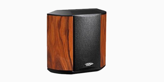 Loa karaoke AAD SR – 1HG Roosewood